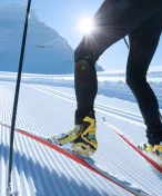 Bizarní karambol na trati: Jak ruský lyžařský šampionát rozhodl pes vyslaný Trumpem a NATO