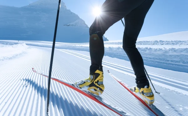 Bizarní karambol na trati: Jak ruský lyžařský šampionát rozhodl pes vyslaný Trumpem a NATO