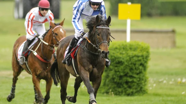 Úvodní cross country Koroka ovládl na pardubickém závodišti devítiletý Hibernian