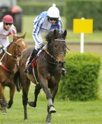 Úvodní cross country Koroka ovládl na pardubickém závodišti devítiletý Hibernian