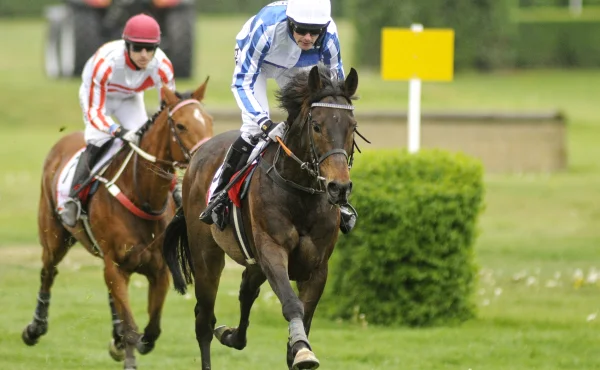 Úvodní cross country Koroka ovládl na pardubickém závodišti devítiletý Hibernian