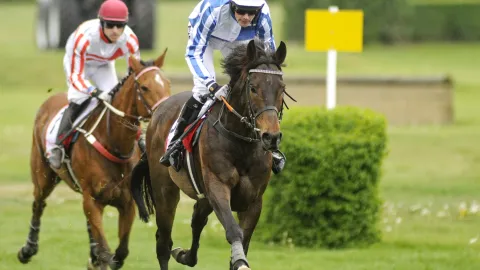 Úvodní cross country Koroka ovládl na pardubickém závodišti devítiletý Hibernian